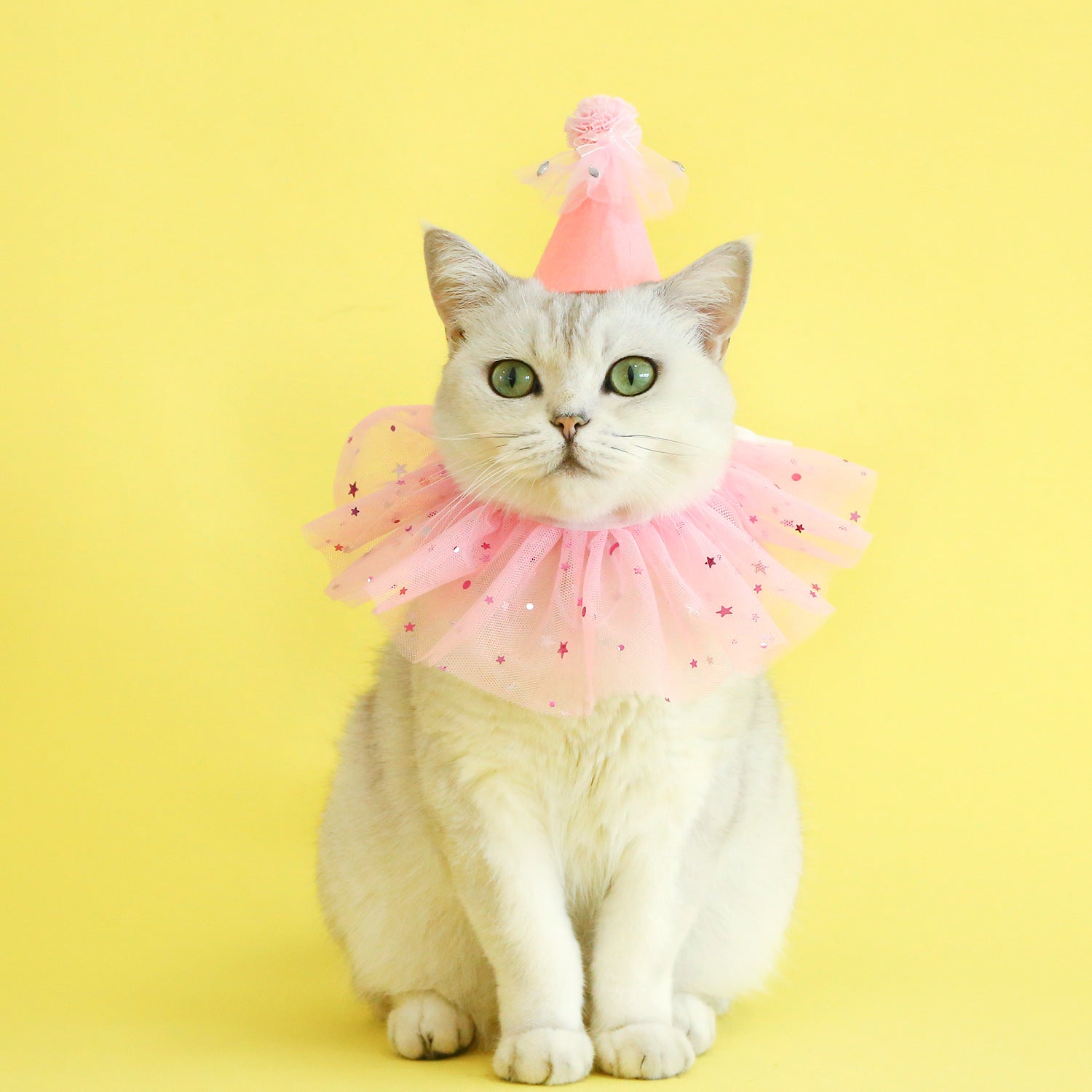 b2e0d1c74b0165cbcf766760df4cb684