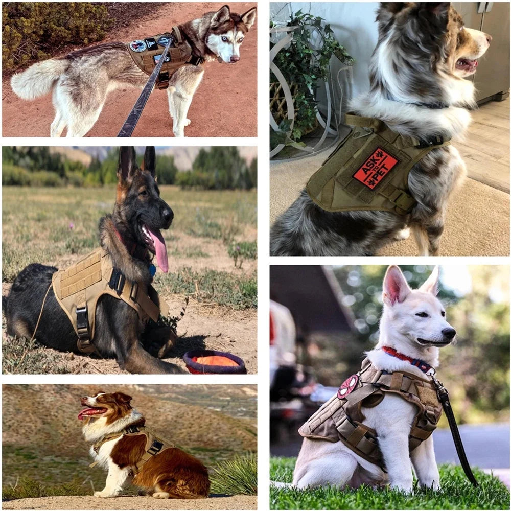 1000D Nylon Camouflage Dog Harness