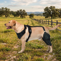 Pet Protective Gear Harness