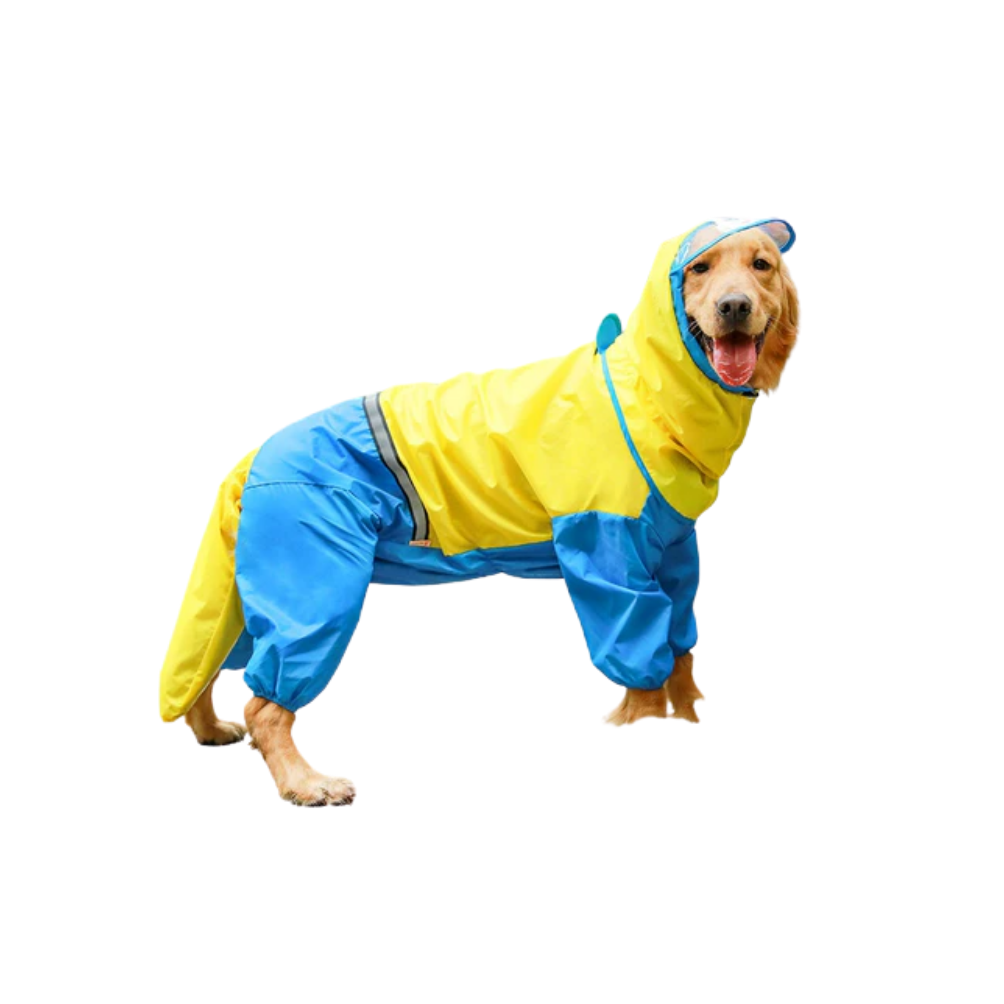 Waterproof four legged raincoat