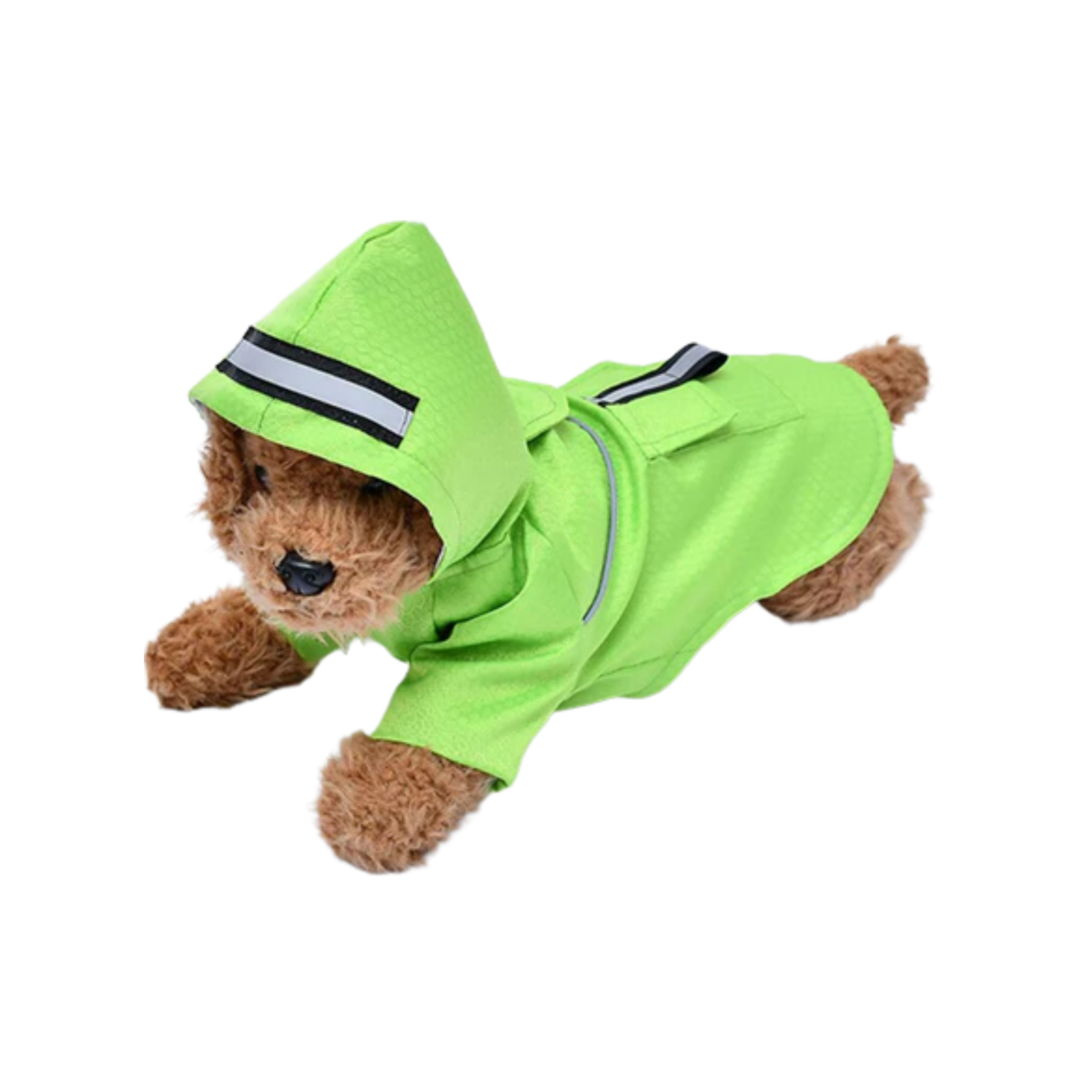 Double-layered dog clothes with pockets