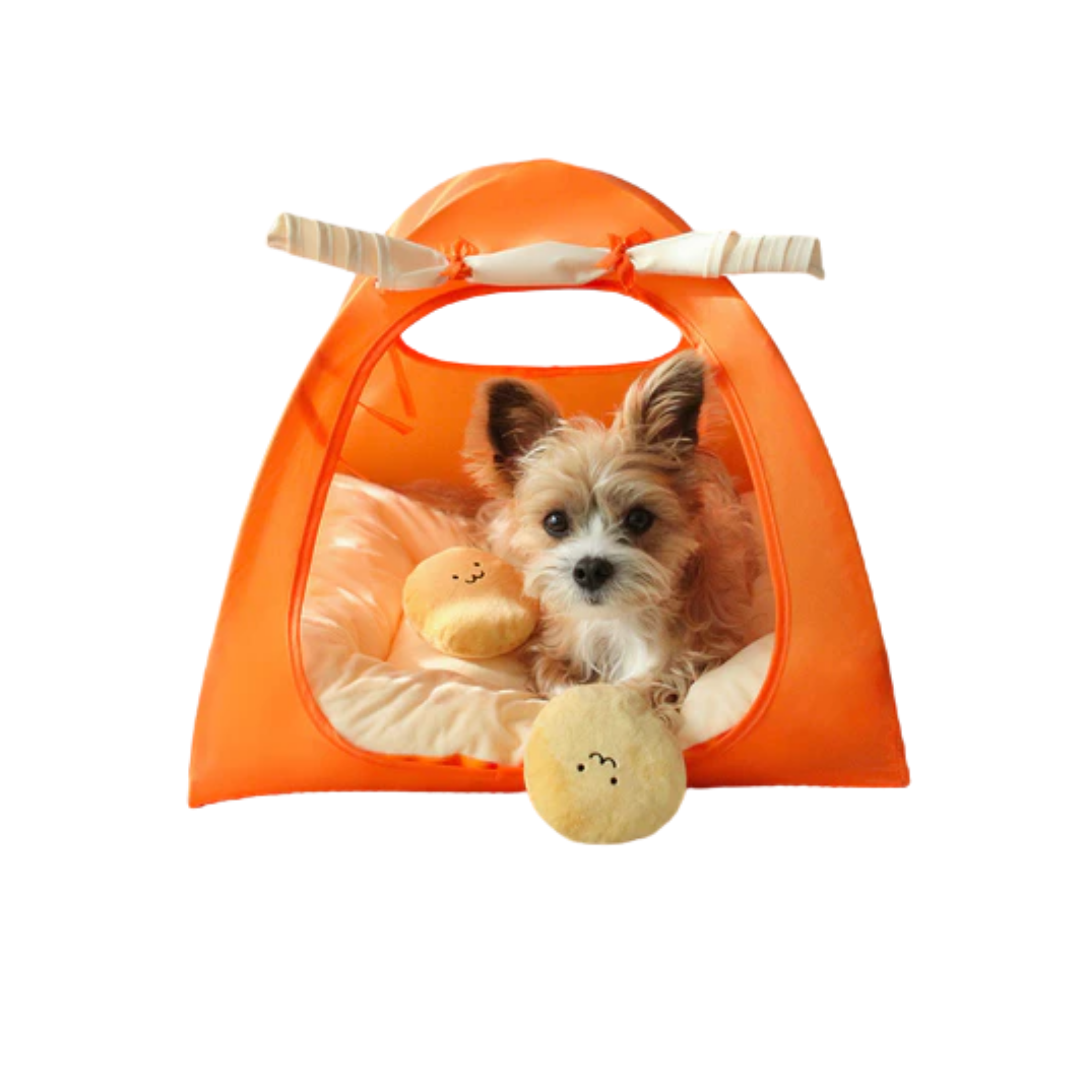 Pet Portable Tent Breathable Outdoor Ins Wind
