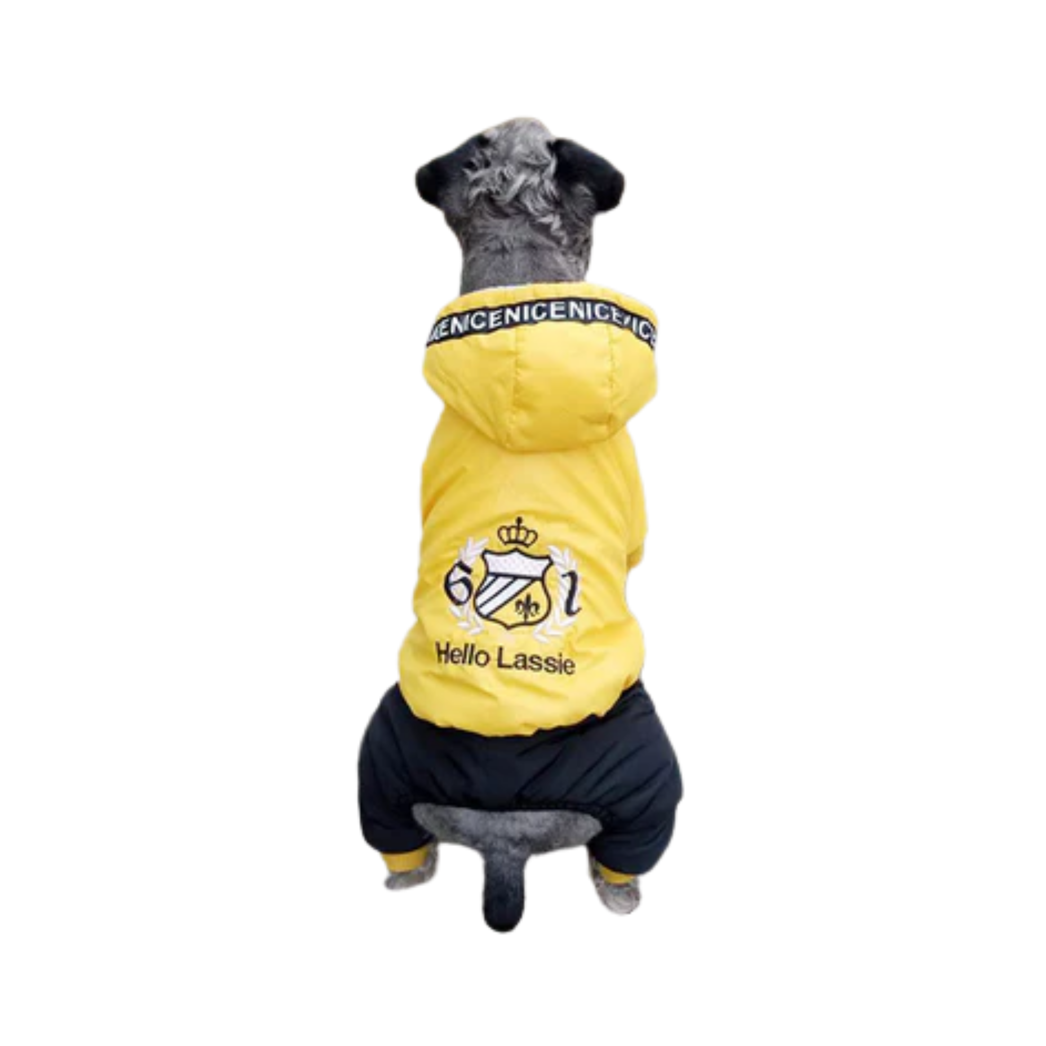 Warm puppy clothes