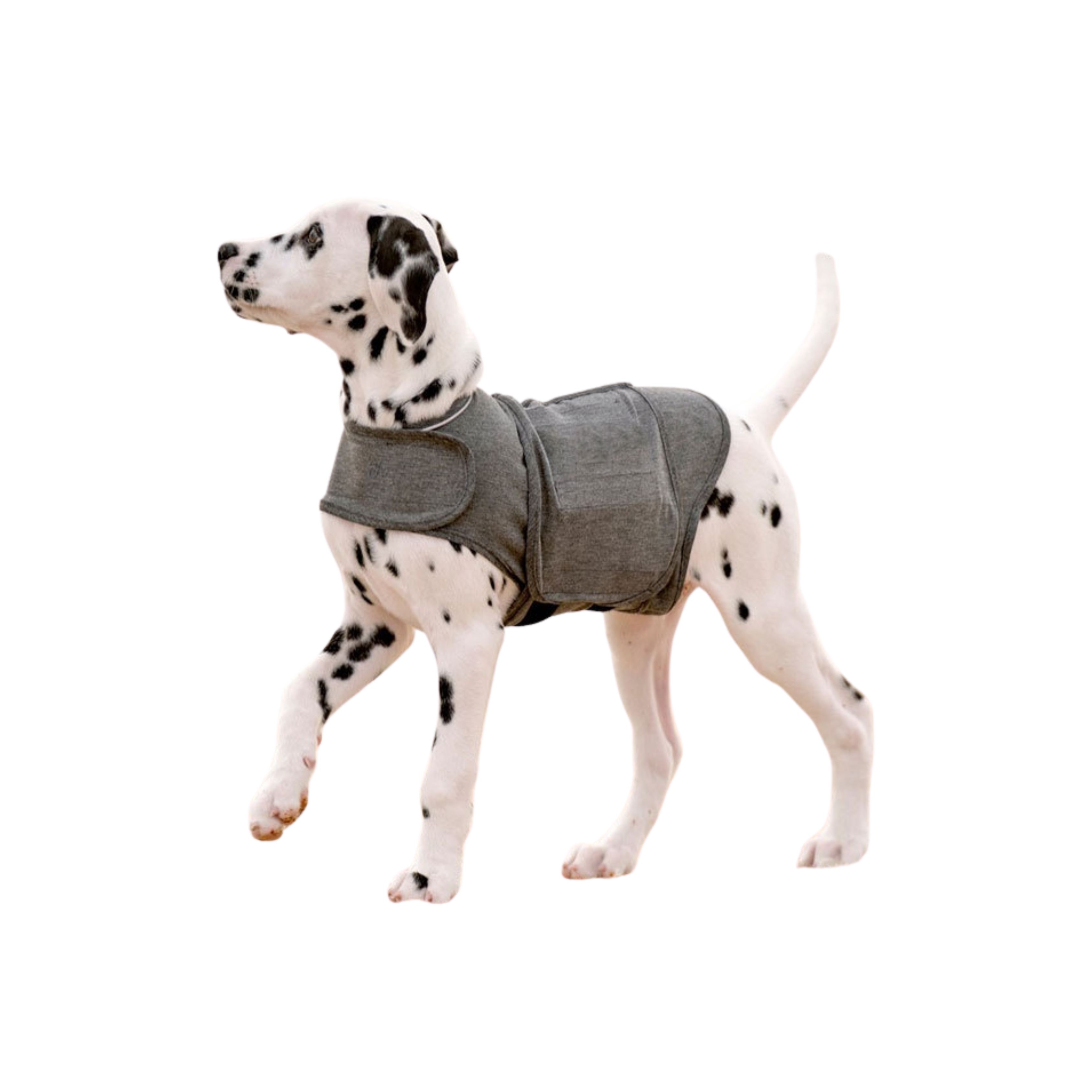 Dog Anxiety Jacket Warm Vest