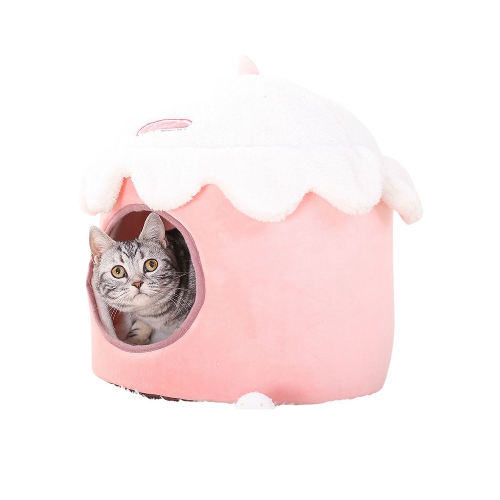 Winter cat litter
