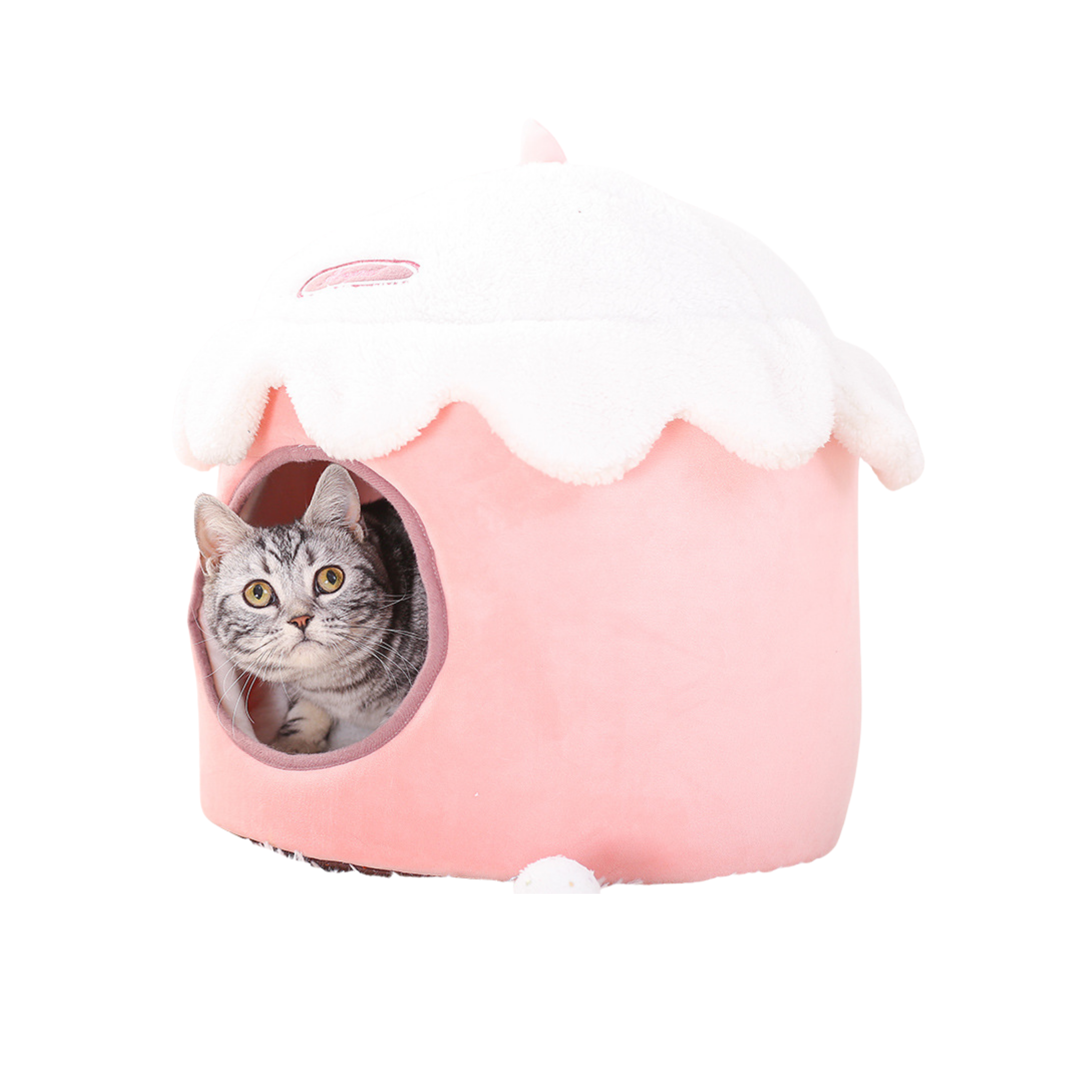 Winter cat litter