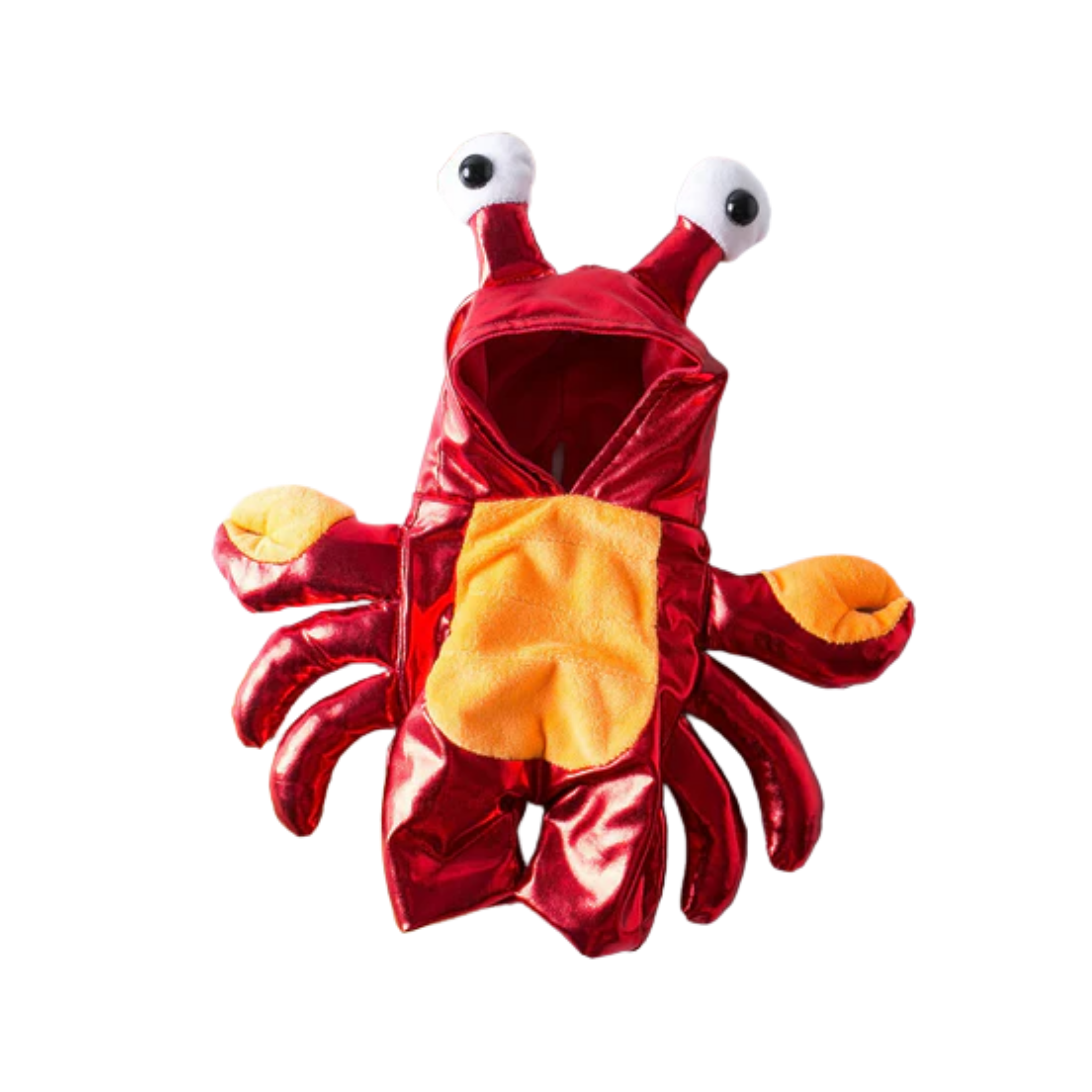 Costume For Halloween
