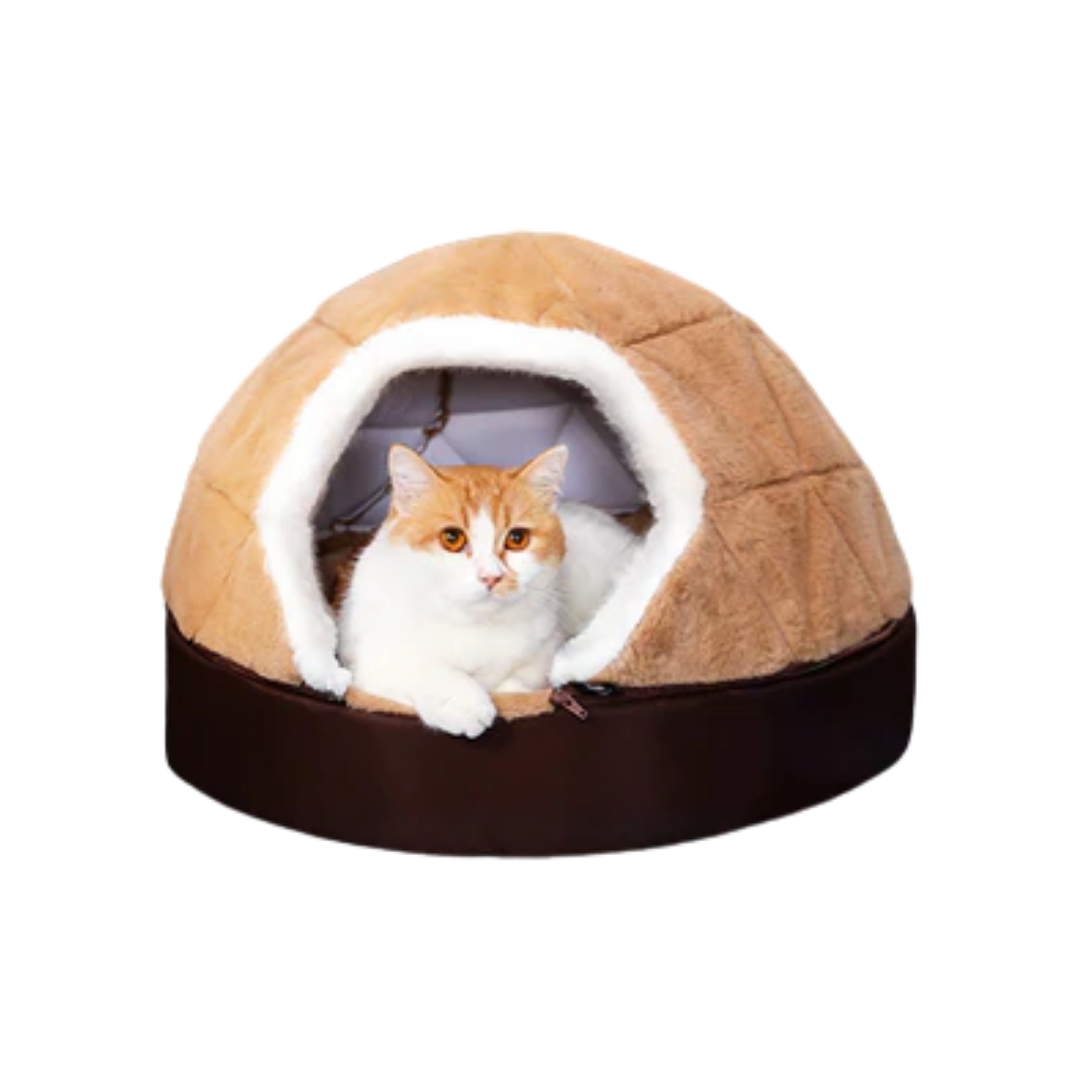 Semi-enclosed Tent