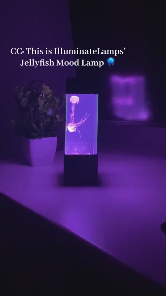 1.mp4
